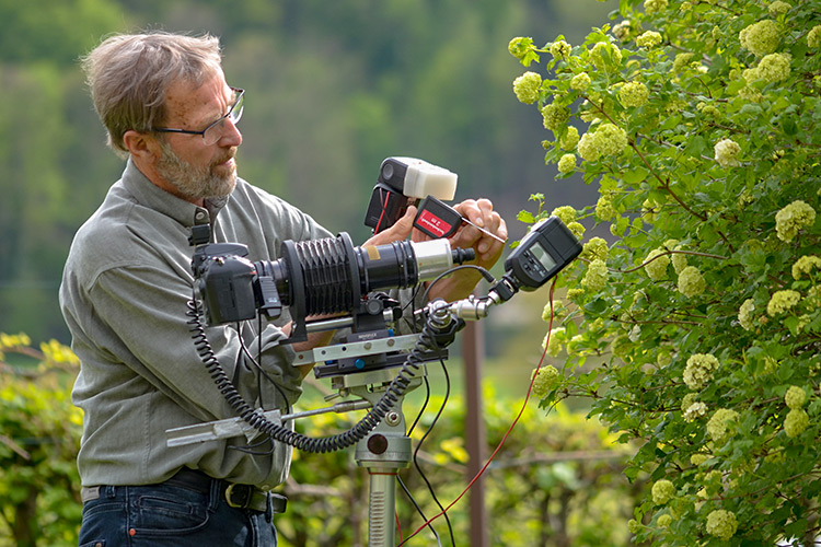 Hubert Handmann - Ausrüstung für Insektenfotografie